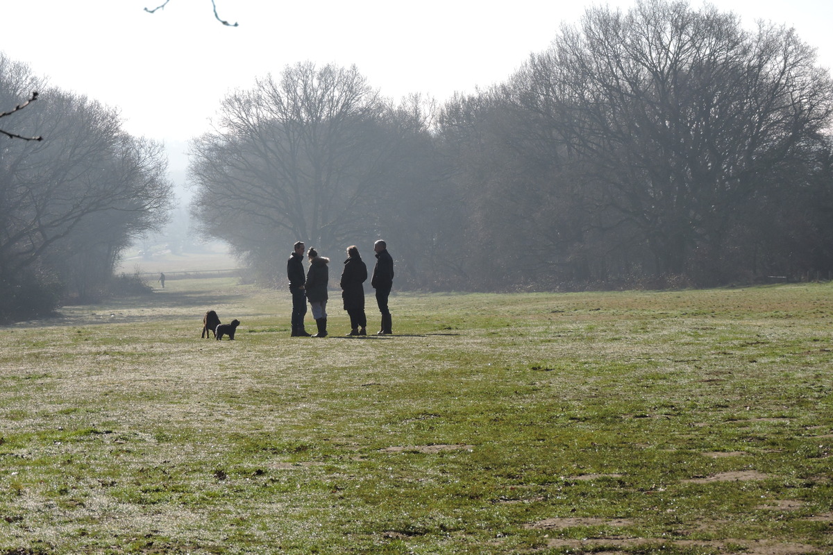 Dog Walkers